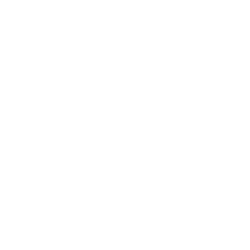 Incredible reach logo